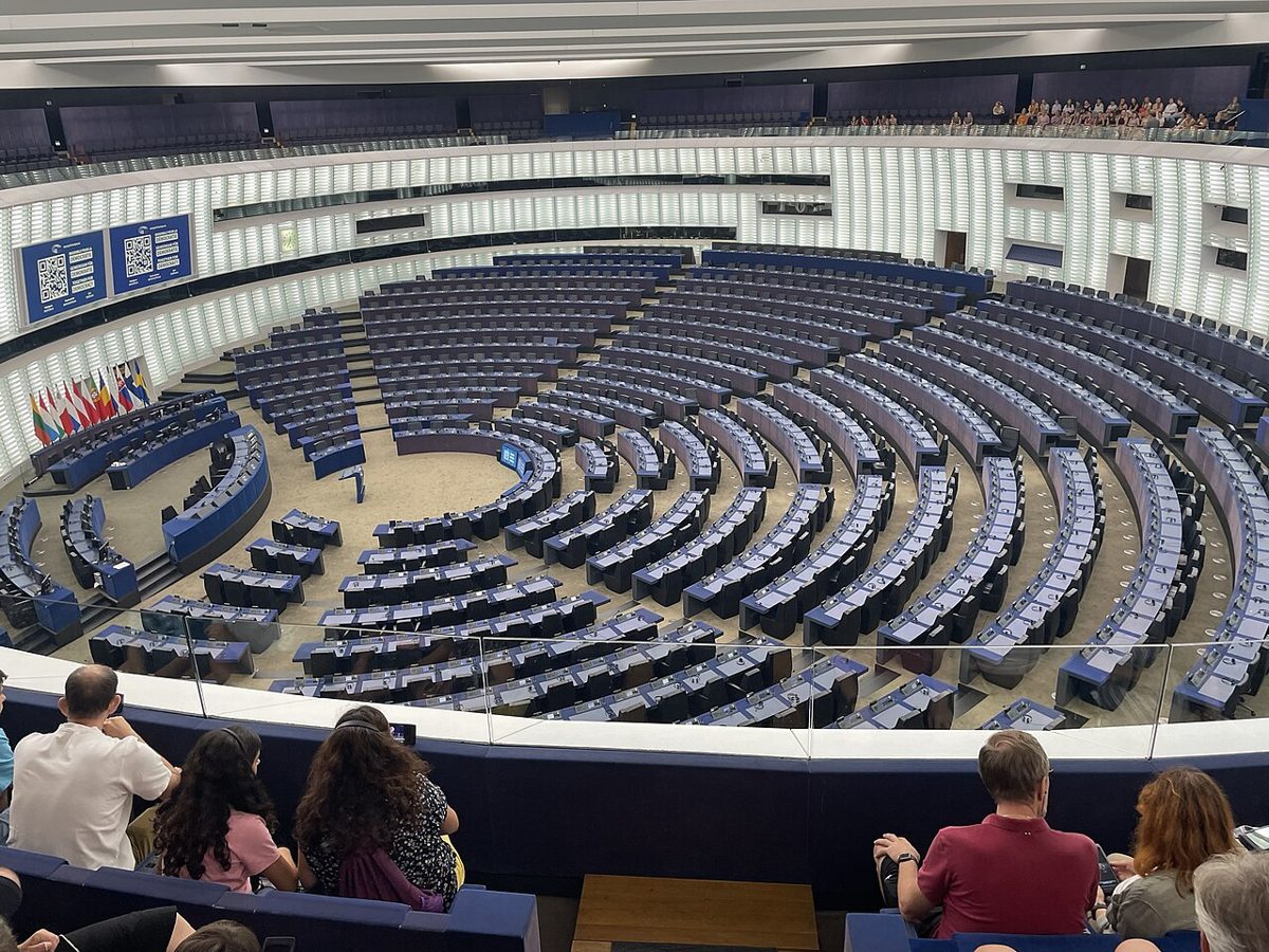 An empty semicircular parliament chamber photographed from a visitors' gallery, rows of blue desks curving down toward a floor lined with member state flags