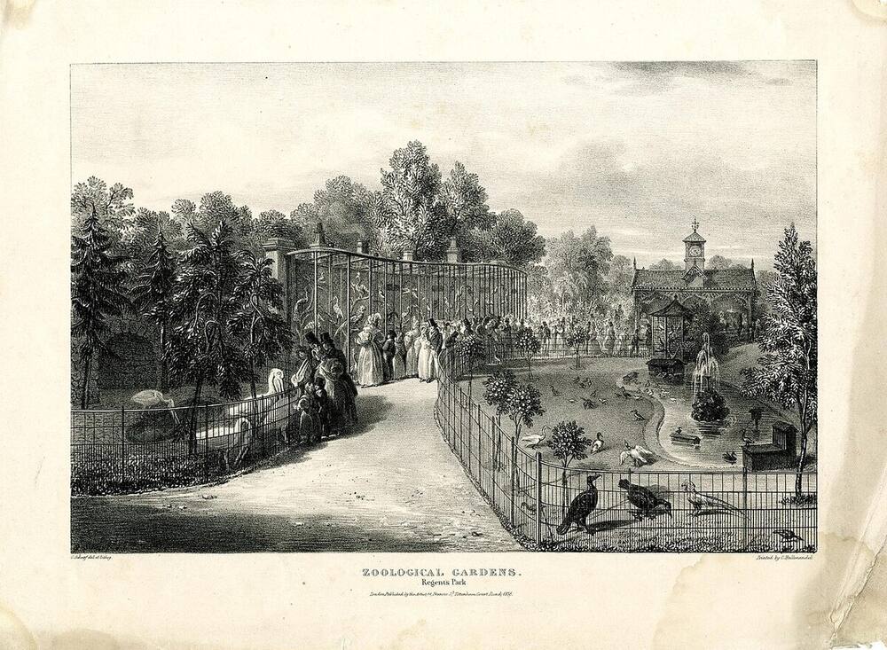 Lithograph of visitors in bonnets and top hats walking past a long curved aviary, with pelicans, ducks and a pond behind iron railings.